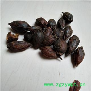 栀子  炒栀子个 栀子米 规格齐全 今年新货 无虫蛀无霉 产地 福建省泉州市图2