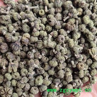 吴茱萸 吴茱萸江西青中花 颗粒 无开裂  圆果 选货 产地 江西省萍乡市