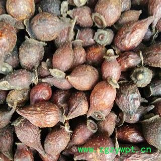 金樱子 金樱子统货  产地 江西省鹰潭市图2