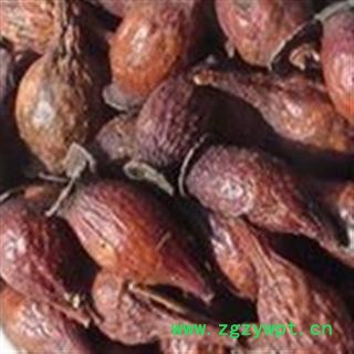 金樱子 金樱子统货  产地 江西省鹰潭市图3