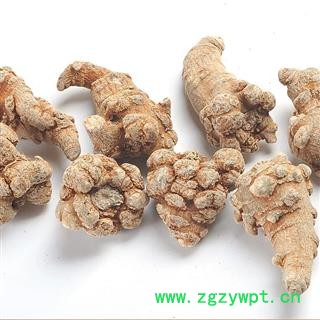 三七 60头 可免费打粉 产地 云南省图3