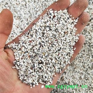 芡实 芡实碎 产地 广东省肇庆市图2