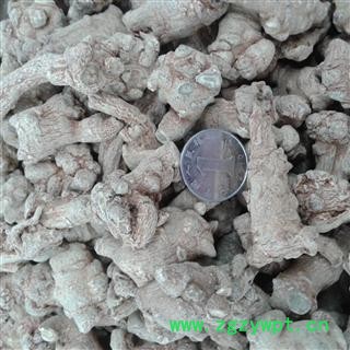 三七 60头片 产地 云南省文山壮族苗族自治州马关县图4