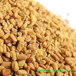 葫芦巴 国产胡芦巴统货 产地 安徽省图2