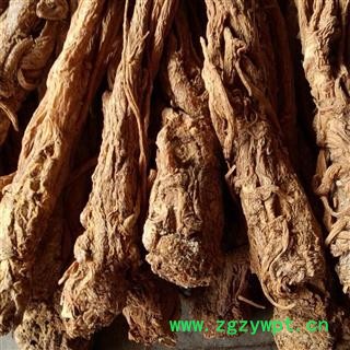 当归 当归头无硫中个50头 产地 甘肃省图2