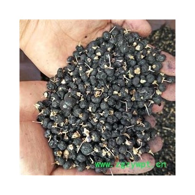 黑枸杞 精品高含量冻干黑枸杞 产地 青海省海东市