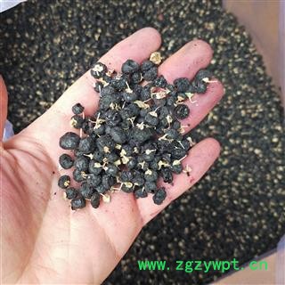 黑枸杞 精品高含量冻干黑枸杞 产地 青海省海东市图3