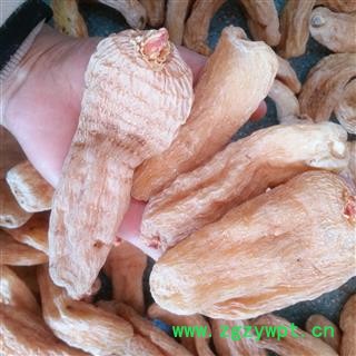 天麻 湖北红嘴天麻特大个 产地 湖北省图2