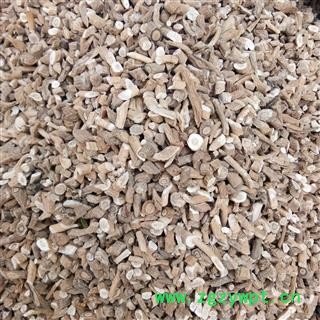 板蓝根 统货 产地 黑龙江省图2