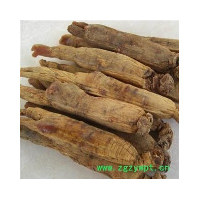 高丽参 正宗 不含糖 25-30支/1斤 产地 吉林省