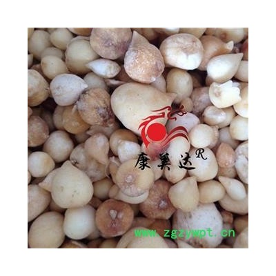 光慈姑 统货 产地 云南省 凯捷中药