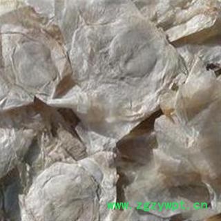 木蝴蝶 千张纸 毛鸦船图2