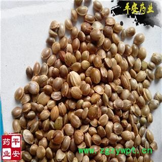 平安药业 火麻子 正品 火麻籽 麻子仁 大麻子 大麻仁 白麻子 冬麻子 线麻子图2