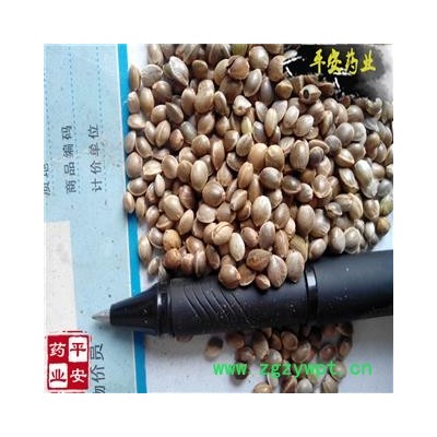 平安药业 火麻子 正品 火麻籽 麻子仁 大麻子 大麻仁 白麻子 冬麻子 线麻子