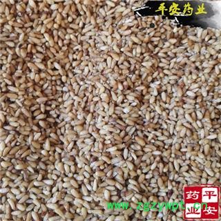 平安药业 柏子仁 当年新货选 批发各种中药材 冷背矿石花草茶 化工参茸 滋补