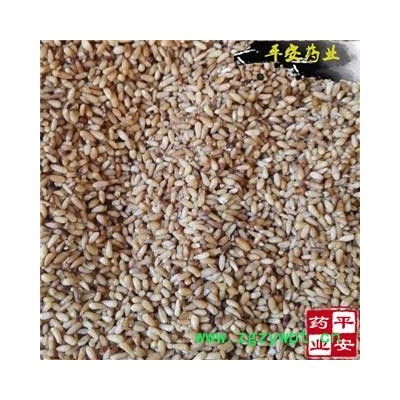 平安药业 柏子仁 当年新货选 批发各种中药材 冷背矿石花草茶 化工参茸 滋补