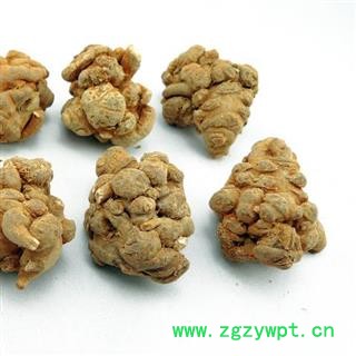 三七 三七20头 产地 云南省图2