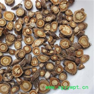 防风 内蒙野生防风 产地 内蒙古自治区 凯捷中药图3