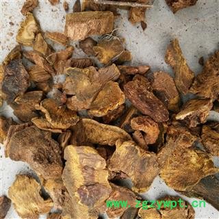 大黄 甘肃大黄 大黄颗粒 1.0筛子以下无碎末 产地 甘肃省图3