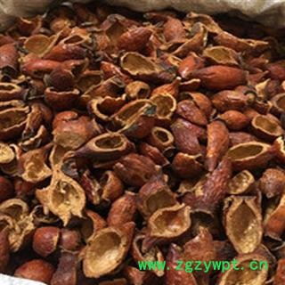 小丽百草行 金樱子肉新货去籽净货 刺榆子 刺梨子 金罂子 山石榴 山鸡头子 糖罐图2