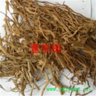 小丽百草行中药材 薏苡根 薏米根 薏苡仁图2