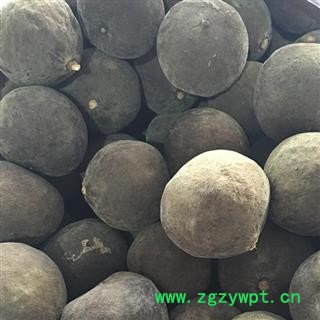 小丽百草行橘红果 化州化橘红果 化橘红 陈年化橘红图2