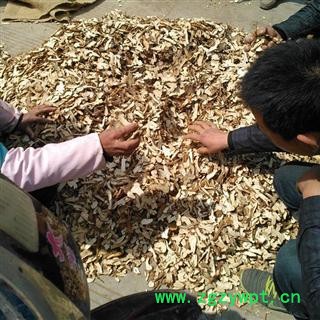 白术 统 产地 安徽省亳州市谯城区新货 批发各种中药材 花茶 矿石图2