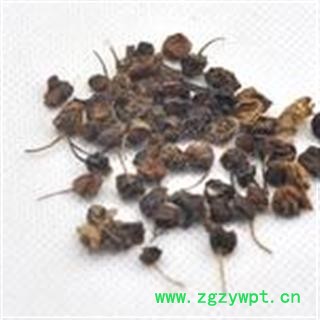 小丽百草行中药材龙葵子 统籽 产地 云南图2