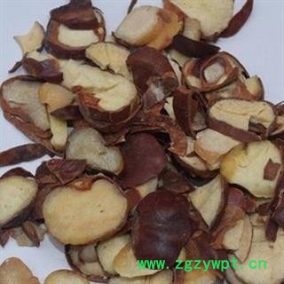 小丽百草行新货中药材娑罗子新货颜色好图3