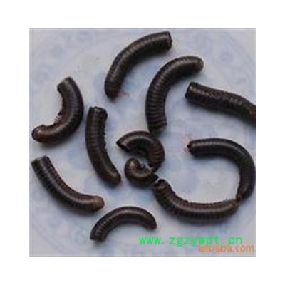 马陆 千足虫 百节虫 正品 优质 促销