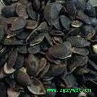 小丽百草行中药材生丝瓜子 丝瓜籽 乌牛子图2