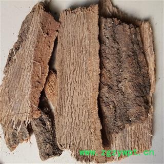 小丽百草行豹皮樟、扬子木姜子、剥皮枫、花壳柴图2