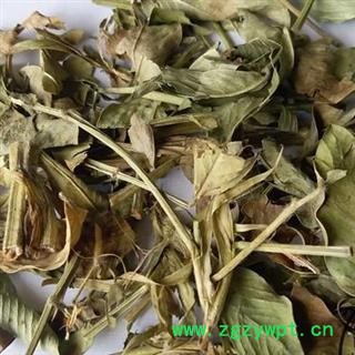 小丽百草行花生叶  新货长果叶 花生秧叶 干花生叶图2