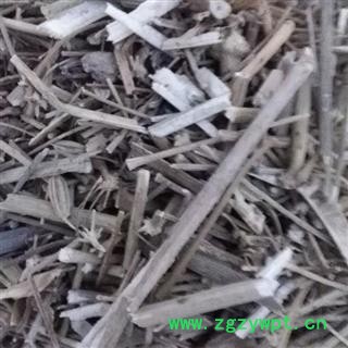 小丽百草行 藏茴香 藏茴香杆图2