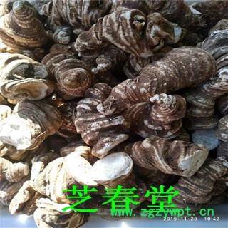 芝春堂 产地货源批发中药材 无硫重楼 七叶一枝花 正品金线重楼片 规格全图4