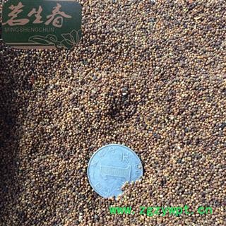 菟丝子水洗统货 产地 内蒙古自治区 茗生春药材总公司 一手货源 7天无理由退换图2