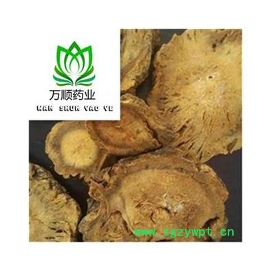 精品甘肃水根大黄大片 质量好 价格低  产地 甘肃省