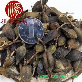 连翘水煮货青翘统货散装干货1公斤起批产地直供川蜀山农中药材批发图3