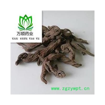 精品红大戟选货 质量好 价格低 规格齐全 产地 海外