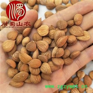 苦杏仁选货散装1公斤起批产地直供川蜀山农中药材批发图2