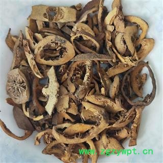 产地直销麸炒小枳壳，新货便宜出售图2