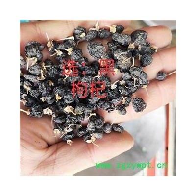 黑枸杞 产地直销新货黑枸杞中大果 产地 青海省