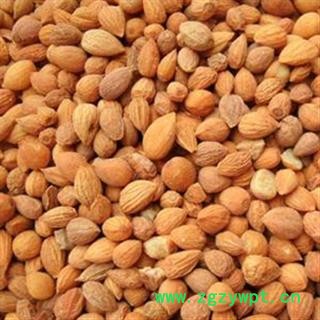 郁李仁 郁李仁选货 产地 内蒙古自治区图2