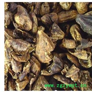 诃子 诃子肉统货 产地 云南省图2