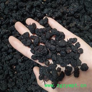 桑椹 桑椹大选货食用级别水洗货 产地 安徽省图4