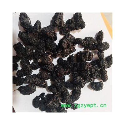 桑椹 桑椹大选货食用级别水洗货 产地 安徽省