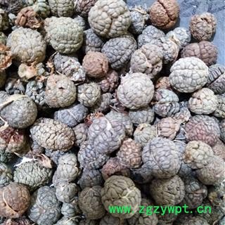 草豆蔻 海南草豆蔻统货 产地 海南省图2