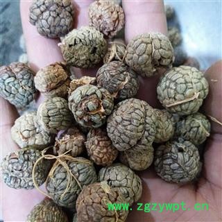 草豆蔻 海南草豆蔻统货 产地 海南省图3