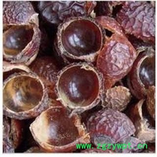 小丽百草行中药材无患子  无患子皮图2