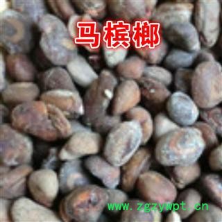小丽百草行槟榔  马槟榔 马金囊、水槟榔、紫槟榔图2